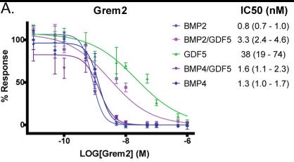 Comparison of inhibitory activity of protein antagonists.jpg